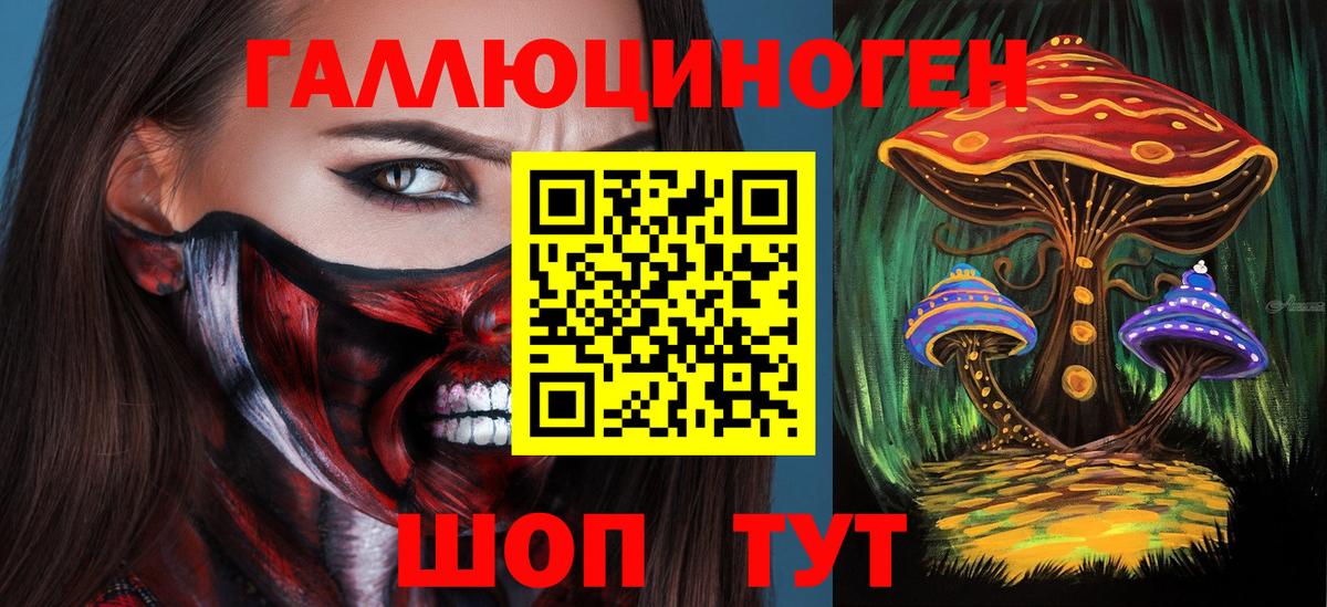Менделеевск  Галлюциногенные грибы Psilocybe  Вход с VPN 